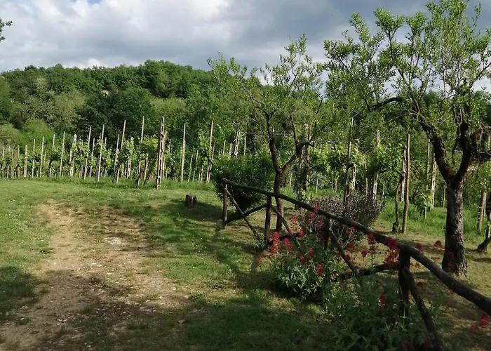 Appartamento Bellosguardo