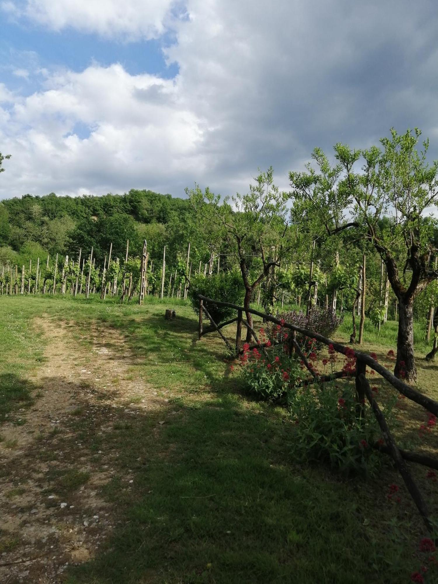 Bellosguardo * Figline Valdarno